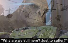 33 Funny Craig The Halo Infinite Brute Memes Memes Halo New Memes