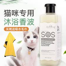 It may have stubborn urine or fecal staining. Usd 22 57 Sos Cat Body Wash British Short Fleas Body Wash Horse Oil Long Hair Short Hair Cat Shampoo Kitten Adult Cat Bath Liquid Wholesale From China Online Shopping Buy