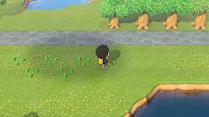 How to plant flowers animal crossing. Animal Crossing New Horizons Hybrid Flowers Crossbreeding And Prices Vg247