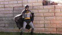 Happy birthday batman 106100 gifs. Top 30 Batman Happy Birthday Gifs Find The Best Gif On Gfycat