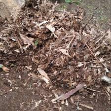 Sebelum ke cara membuat kompos dari daun kering kalian harus membuat media pengomposan terlebih dahulu, berikut standar media untuk pupuk kompos: Pupuk Kompos Daun Bambu 500gram Shopee Indonesia