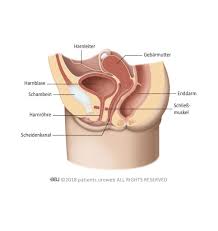 EAU Patient Information - European Association of Urology
