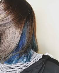 Do you want to dye your dark hair a midnight. Reasons Why You Should Try Blue Hair Colour At Least Once In Your Life