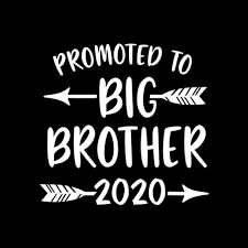 Maybe you would like to learn more about one of these? Promoted To Big Brother Est 2020 Vintage Arrow T Shirt