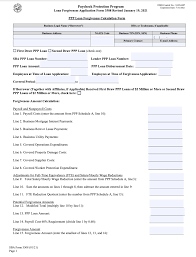 New ppp 1st time borrowers loan. How To Fill Out Your Ppp Forgiveness Application Form Bench Accounting