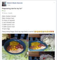 Cat treats from canned cat food: Easy Homemade Cat Food Recipe Worship Cats