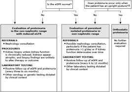Image result for Isolated Proteinuria