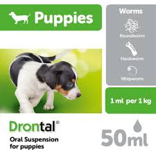 Or should you take them in regularly to get dewormed? Drontal Puppy Worming Suspension Medicanimal Com