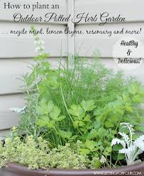 Planter boxes are great for adding style to a deck, green roof or patio. How To Plant An Outdoor Herb Garden Pot Setting For Four