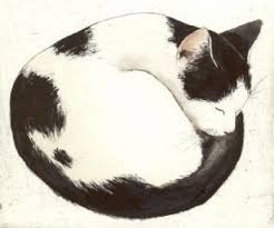 Black And White Cat Tattoo Kay Mcdonagh Lulu Cat Black White Black Cat Drawing Cat Art Cats Illustration