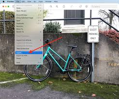 A solution from adobe along with other image viewers are perfectly capable of opening and even editing. How To Convert Heic Files To Jpg On A Mac Computer So You Can Upload Photos To Websites In A Supported Format Business Insider India