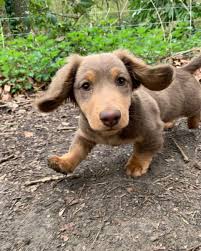 Esther Herrera (@EstherH14724316)  X