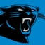 Carolina Panthers - Reddit