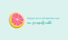 April 2014 uke 15 bygging av stjørdal kulturhus, startet 21. Gravid I 15 Uke Dette Kan Du Forvente