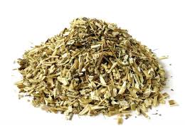 Image result for foto Dvouzubec