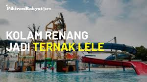 Tidak Ingin Rugi Kolam Renang Di Bogor Ubah Fungsi Jadi Ternak Lele Usai Direnovasi Youtube