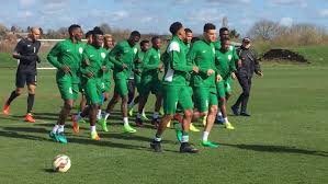 Super eagles hit gym for benin, lesotho. Nigeria Is 17th African Country To Qualify For Cameroon 2022