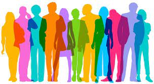Diversity and Representation Paradigm