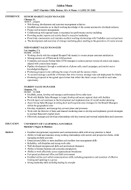 This role requires you to help bring. Market Sales Manager Resume Samples Velvet Jobs