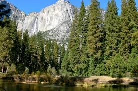 Maybe you would like to learn more about one of these? Sierra Nevada Lower Montane Forest Wikipedia