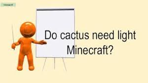 Did a few tests to see how much a plant of cactus drops in minecraft. Do Cactus Need Light Minecraft Youtube