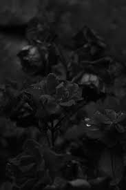 Demonstrators from the black lives matter movement march through central london on july 10 during a demonstration against the killing of black men by. 300 Black Photos Ideas Shades Of Black Black Black And White