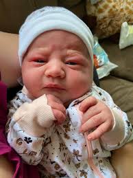 Dream Catcher Midwifery