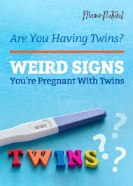 Pin On Twin Pregnancy