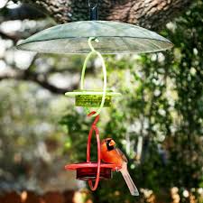 Bird Feeder For Large Birds Glass Baffle Dome Mosaic Birds Bird Feeder Baffle Glass Bird Feeders Bird Feeders