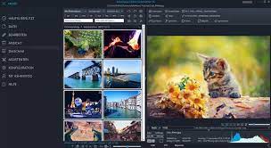 Check spelling or type a new query. Ashampoo Photo Commander Download Chip