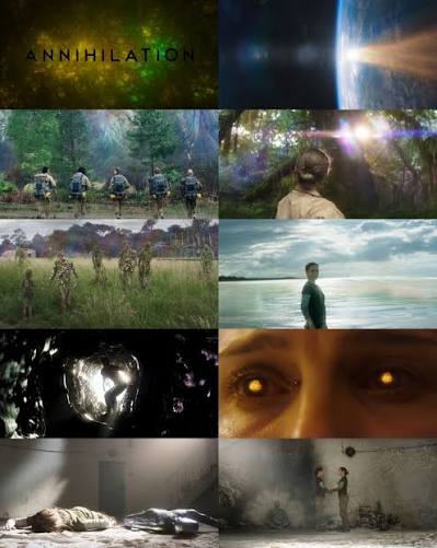 Thoughts on Annihilation? (Credit to Cinema Feels)