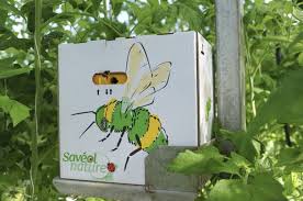 Ideas for left over pork loin : La Ferme Aux Insectes Saveol Nature Recreatiloups Finistere