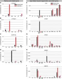 Some cancers occur more frequently in certain age groups. Cell Types Of The Human Retina And Its Organoids At Single Cell Resolution Developmental Convergence Transcriptomic Identity And Disease Map Biorxiv