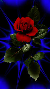 Maybe you would like to learn more about one of these? Foto Animada Beautiful Rose Flowers Beautiful Flowers Wallpapers Beautiful Flowers