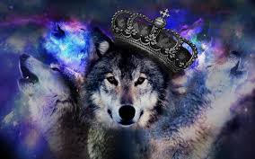 Two black and white wolves wallpaper, wolf, couple, animal, animal themes. Wallpaper Of Wolves Posted By Samantha Sellers