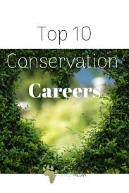 Top 10 Conservation Careers Working With Nature Wildlife Conservation Jobs Conservation Biology Conservation Biologist