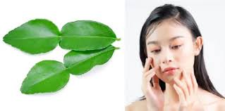 Saiz diameter daun pegaga sebenarnya kecil sebesar perut ibu jari tangan. 9 Manfaat Daun Jeruk Bagi Kesehatan Yang Perlu Anda Tahu