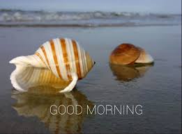 4675 linton blvd #204 delray beach, fl 33445. Pin By Shanmugam Srinivas On Morning Wishes Sea Shells Shells Beach Photos