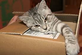 The more rooms there are in a residence, the more items there are likely to be there for packing. 33 Moving Tips That Will Make Your Life So Much Easier