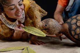 O Sítio do Vovô Hermeto" estreia nova temporada