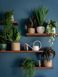 Greenery Against Bold Blue Wall Feature Wall Living Room Blue Feature Wall Plant Decor