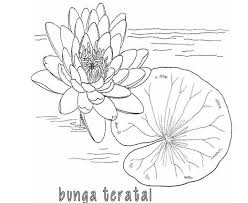 12 Gambar Bunga Matahari Mozaik Sketsa Gambar Bunga Untuk Mozaik Kata Kata Bijak Gambar Dekorasi Pola Kucing K Lukisan Bunga Matahari Menggambar Bunga Bunga
