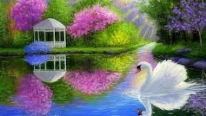 Image result for serene goldfish scenery