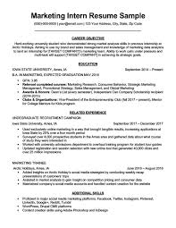 Intern Resume Objective Resume Format