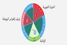متى ينزل دم تثبيت الحمل بالتفصيل