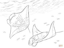 Two Manta Rays Coloring Page From Ray Category Select From 26992 Printable Crafts Of Cartoons Nature Animals Bi Manta Ray Fish Coloring Page Coloring Pages