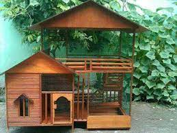Kandang Kucing Kayu Kandang Kucing Rumah Kucing Kucing