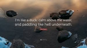 Calm on the surface, but always paddling like the dickens underneath. Fred Shero Quote I M Like A Duck Calm Above The Water And Paddling Like Hell