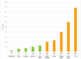 Energy Density Whole Foods Plant Based Health