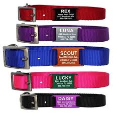 Personalized Slide On Pet Id Tag For Dog Collars Custom Etsy In 2020 Pet Id Tags Pet Id Dog Collar Tags